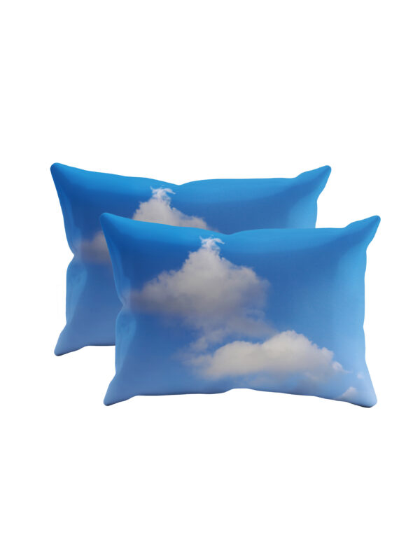 2 x Tæwas siidist padjapüür